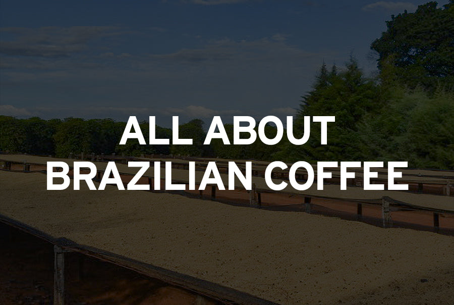 The Fascinating History of Brazilian Coffee